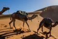 Самолетни екскурзии Мароко